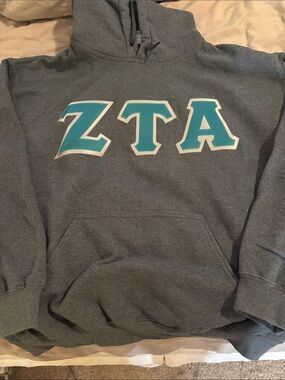 Gildan Gray Hoodie with Teal ZTA Letters